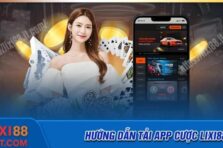 Tải app Lixi88 – Cài đặt cá cược cho Android và IOS