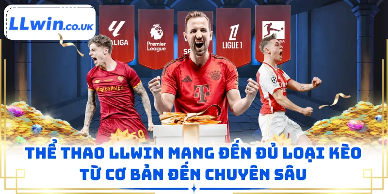 Làm thế nào để nhận diện cơ hội và soi Thể Thao LLWIN qua 4 bước?